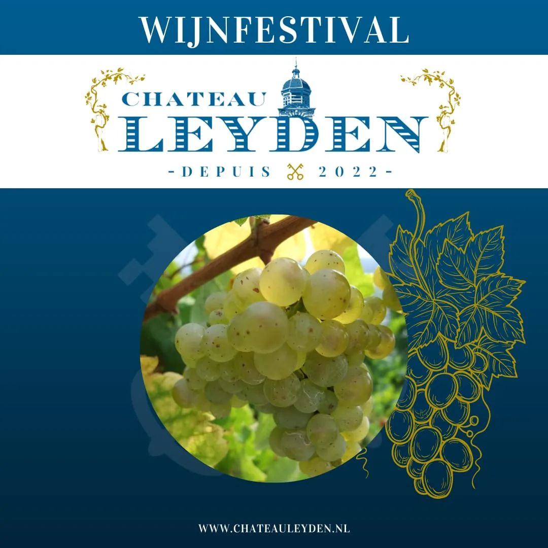 Chateau Leyden