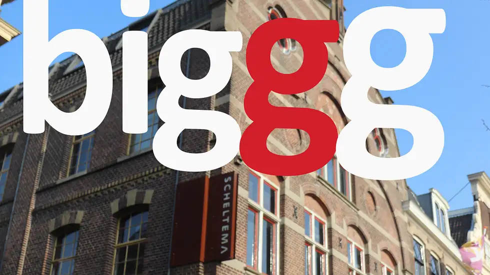 Biggg in Scheltema Leiden